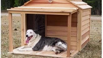 Καβάλα: Εθελοντές Από 4 Χώρες της ΕΕ Κατασκευάζουν Σπιτάκια για Σκύλους Από Ανακυκλώσιμα Υλικά