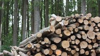 Two Biomass Heating Plants to be Operational in Serbia as of October 1
