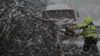 Το ΥΠΕΝ  Έστειλε 11 Συνεργεία Υλοτόμων για την Απόληψη Πεσμένων Δένδρων σε Περιοχές Άμεσης Ανάγκης