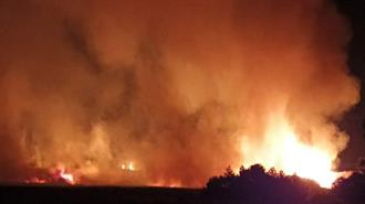 Μεγάλη Οικολογική Ζημιά Από την Πυρκαγιά στα Ψαχνά – Κάηκαν Πάνω Από 40 Στρέμματα Υγροβιότοπου