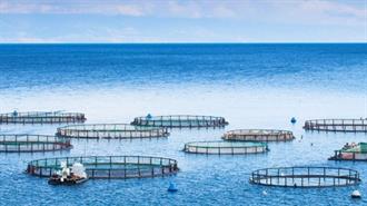 ΕΕ: Μετάβαση στην Καθαρή Ενέργεια και Προστασία των Οικοσυστημάτων σε Αλιεία, Υδατοκαλλιέργεια και Θαλάσσια Οικοσυστήματα
