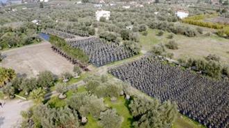 LAMDA Development: Επιχείρηση Mεταφύτευσης 3.000 Δέντρων στο Ελληνικό (Video)