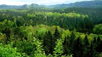 Σημαντικές οι Πρωτοβουλίες της ΓΓ Δασών του ΥΠΕΝ για την Προστασία και την Αναγέννηση των Δασών