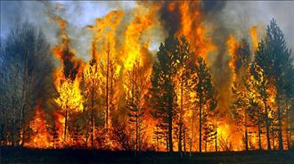 Δασικές πυρκαγιές: πού είναι η πρόληψη;