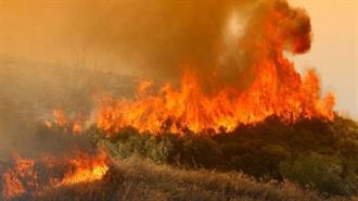 Meteo: Μισές σε Αριθμό οι Μεγάλες Πυρκαγιές Αλλά Διπλάσιες οι Καμένες Εκτάσεις το 2023
