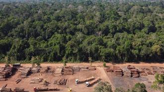 Βραζιλία: Μείωση της Αποψίλωσης του Αμαζονίου τον Αύγουστο, για 2ο Συνεχόμενο Μήνα