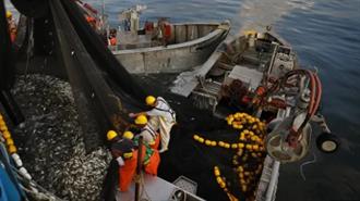 Καμπανάκι Greenpeace για την Υπεραλιεία-Να Επικυρωθεί η Σύμβαση για την Προστασία των Ωκεανών