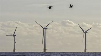 Η ScotWind, Ολοκληρώνει Διετή Έρευνα για τις Πτήσεις Πτηνών στη Βόρεια Θάλασσα