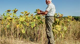Γερμανοί Αγρότες: Ένταξη της Ουκρανίας Σημαίνει «Θάνατος» της Οικογενειακής Γεωργίας