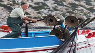 Οι Ψαράδες της Αμοργού Δείχνουν τον Δρόμο στην Πολιτεία