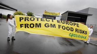 Greenpeace: Απορρύθμιση Μεταλλαγμένων-Πρόβλημα και Όχι Λύση για Αγρότες και Γεωργία