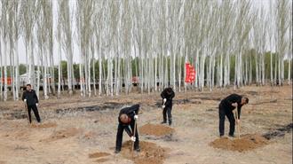 Κίνα: Αναδάσωση και Φύτευση με Γρασίδι  2,67 Εκατομμυρίων Εκταρίων Κατά της Ερημοποίησης