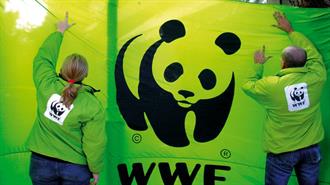 WWF: Ολοκλήρωση Προγράμματος “Μαθητές σε Δράση για το Κλίμα”